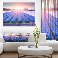 Design Art Champ De Fleurs Floraison Hyacinth Art Sur Toile