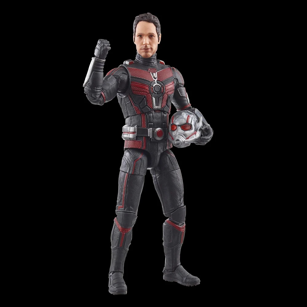 Hasbro Marvel Legends Series Ant-Man, Ant-Man & the Wasp: Quantumania Collectible 6 Inch Action Figures, Ages 4 and Up 