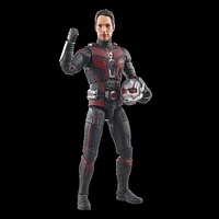 Hasbro Marvel Legends Series Ant-Man, Ant-Man & the Wasp: Quantumania Collectible 6 Inch Action Figures, Ages 4 and Up 