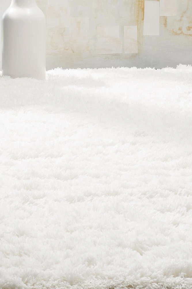 SAFAVIEH Polar Abbot Carlene Tapis Peluche Shag