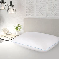 Oreiller en nuage de mousse à mémoire façonnable au gel refroidissant Dream SerenityMD