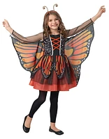 BUTTERFLY BEAUTY