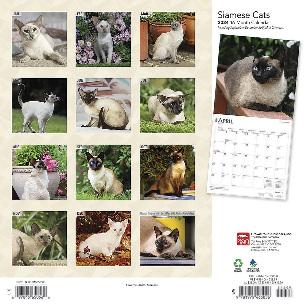 BrownTrout Siamese Cats 2024 12x24 Inch Square Wall Calendar, 9781975465056