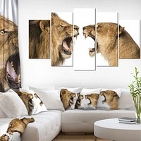Design Art Lion Et Lionne Rugissant Art Sur Toile