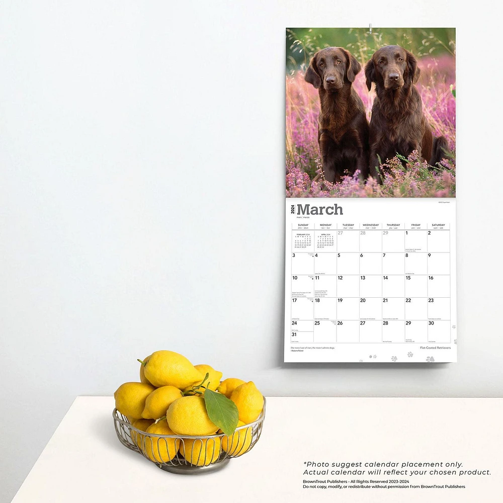 BrownTrout Flat-Coated Retrievers 2024 12x24 Inch Square Wall Calendar, 9781975467890