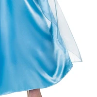 Cinderella Deluxe Adult Costume