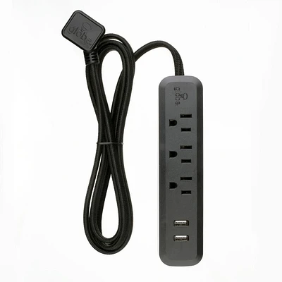 Rallonge multiprise protectrice de surtension USB Serie Designer de Global Electric à 3 prises de 6 pi