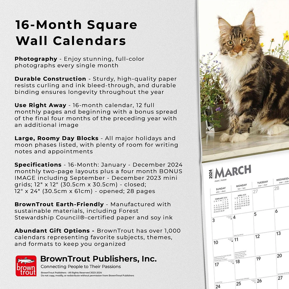 BrownTrout Maine Coon Cats 2024 12x24 Inch Square Wall Calendar, 9781975463786