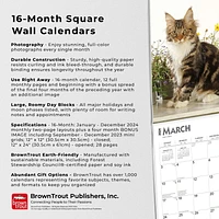 BrownTrout Maine Coon Cats 2024 12x24 Inch Square Wall Calendar, 9781975463786