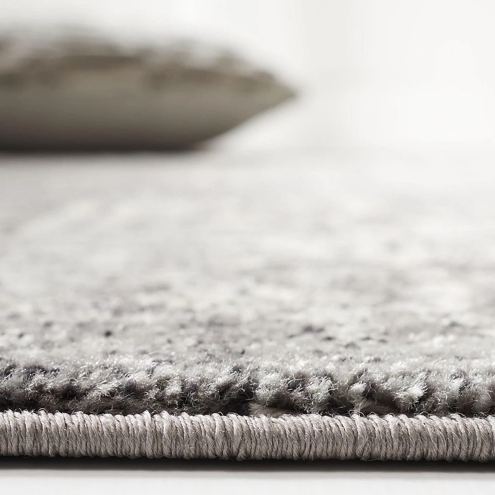 Safavieh Evoke Trena Traditional Area Rug