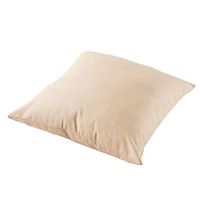 Outdoor Square Cushion 18in - Aqua (2 Pack)
