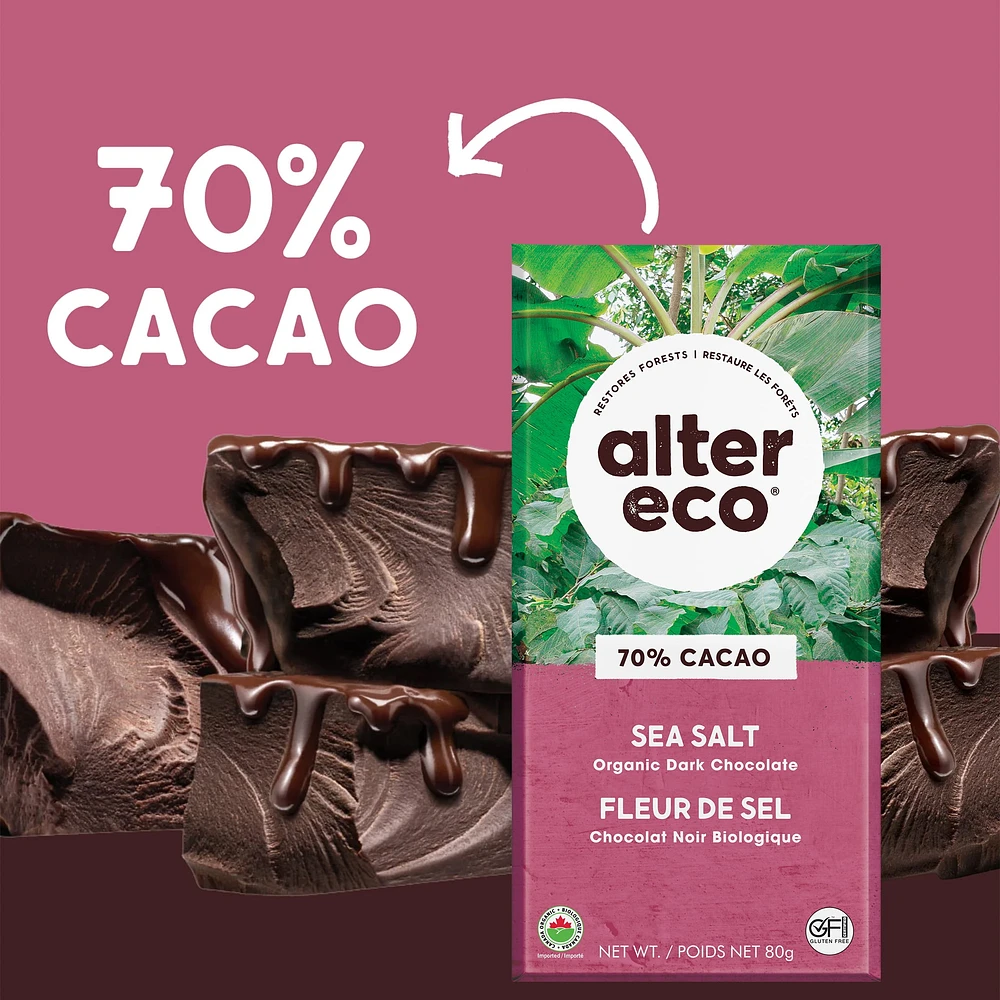 Alter Eco - Dark Sea Salt Chocolate, Dark Chocolate