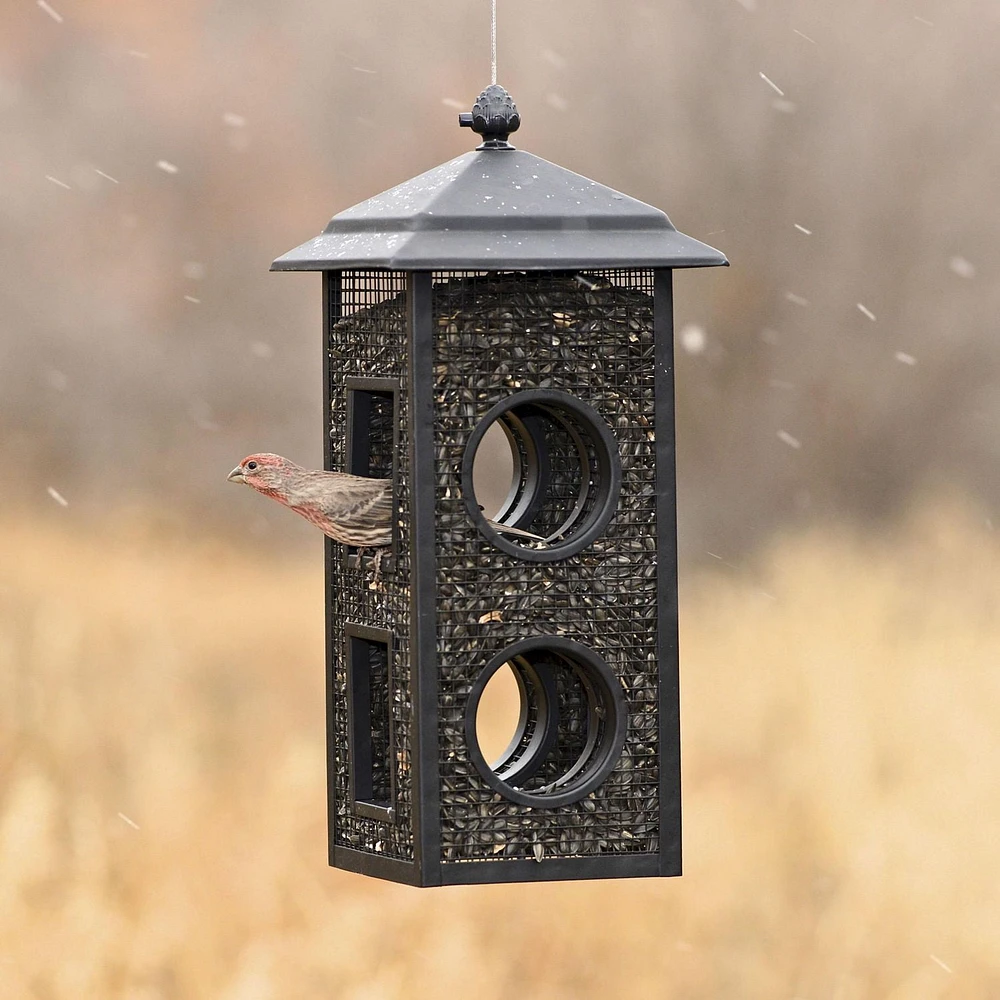 Perky-Pet Fly-Thru Bird Feeder – 2 lb Capacity