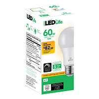 Ampoule DEL en plastique A19 gradable de Globe Electric, équivalente à un éclairage blanc chaleureux de 60W (3000K), base E26, 800 lumens, 30994