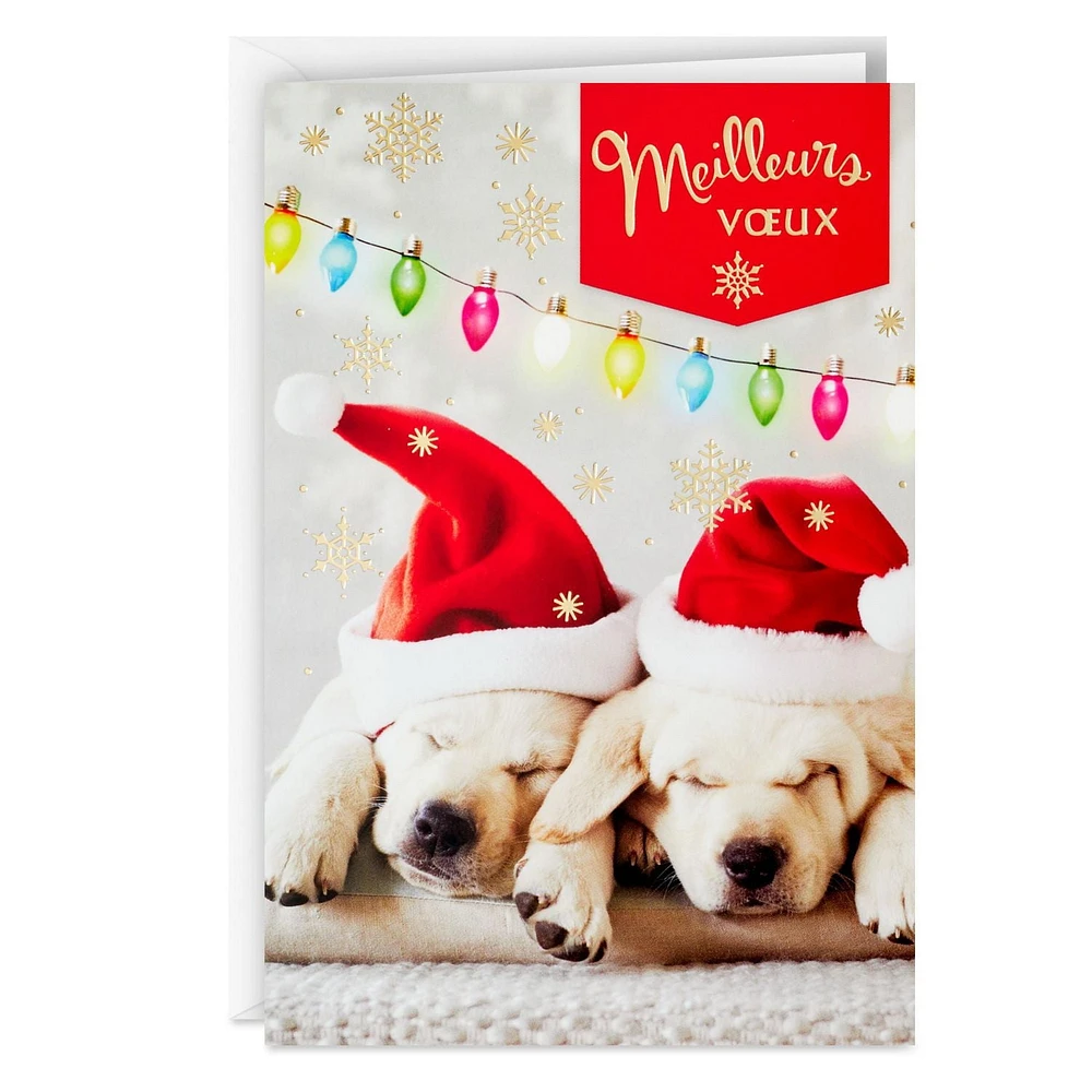 Image Arts Puppies and Holiday Wishes French-Language Boxed Christmas Cards, Pack of 16