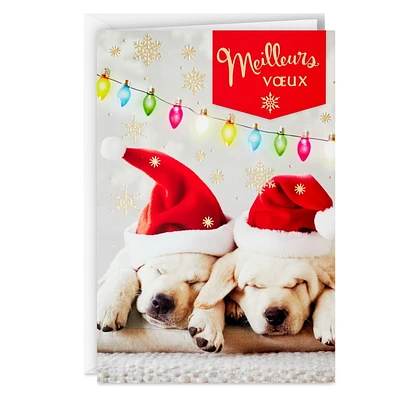 Image Arts Puppies and Holiday Wishes French-Language Boxed Christmas Cards, Pack of 16