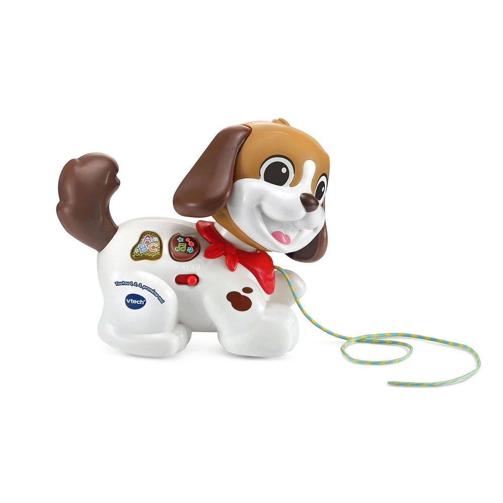 VTech Toutou 1,2,3 Promène-moi - Version francaise 12-36 Mois