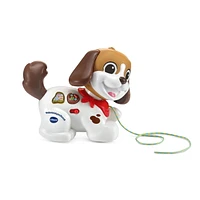 VTech Toutou 1,2,3 Promène-moi - Version francaise 12-36 Mois