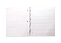 Cahier Five Star® 5 sujets 400 pages Cahier 5 sujets