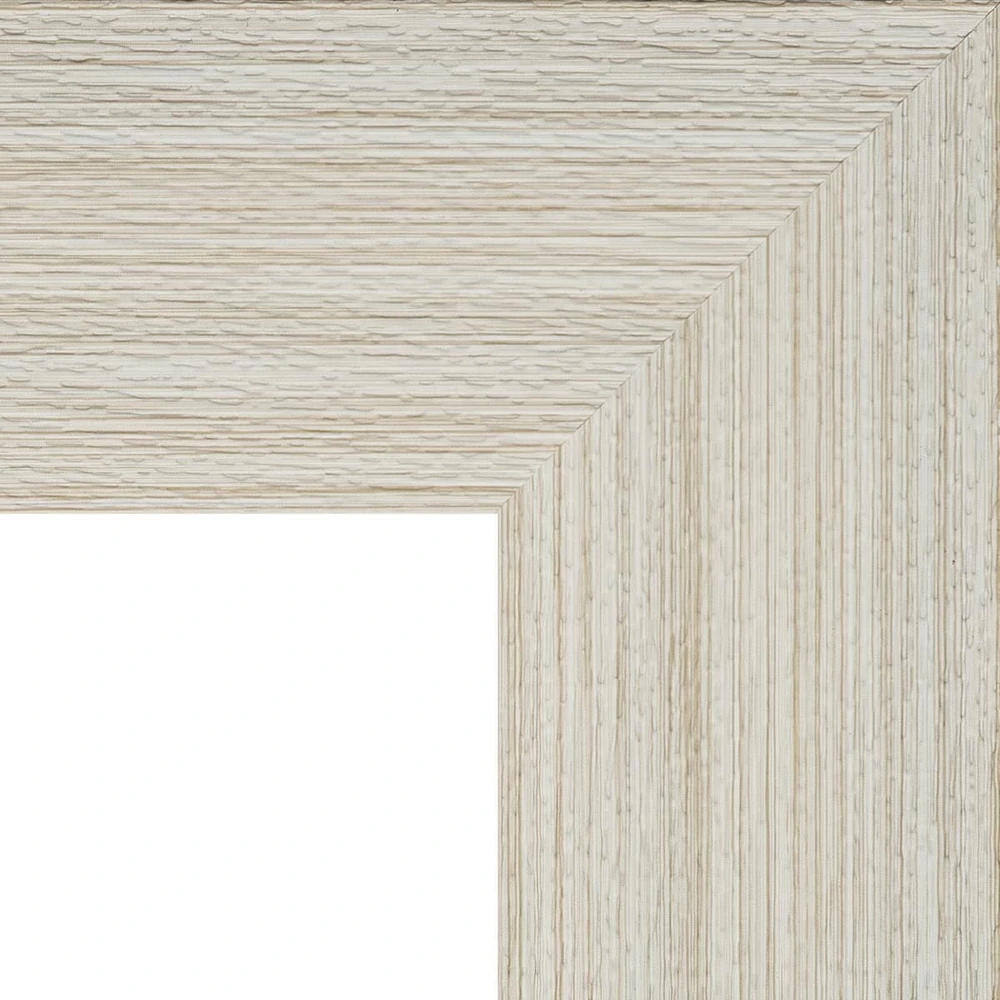 hometrends Miroir de porte en blanc blanchi 14x48po