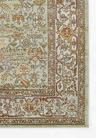ECARPET Hailey 6'7" x 9'6" Traditional Area Rug for Living Room, Bedroom, Dining Room, Entrance, Hallway and More.