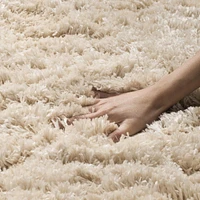 SAFAVIEH Polar Abbot Solid Extreme Plush Shag Area Rug