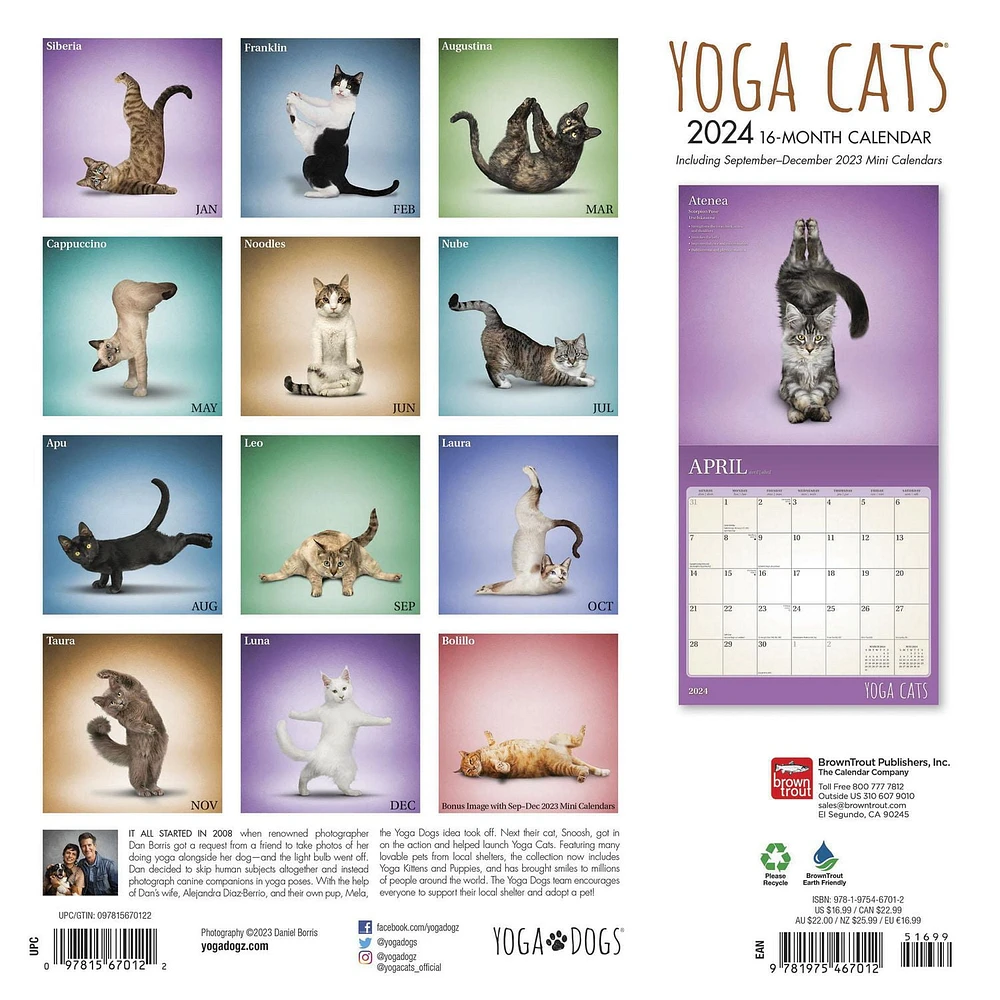 BrownTrout Yoga Cats OFFICIAL 2024 12x24 Inch Square Wall Calendar, 9781975467012