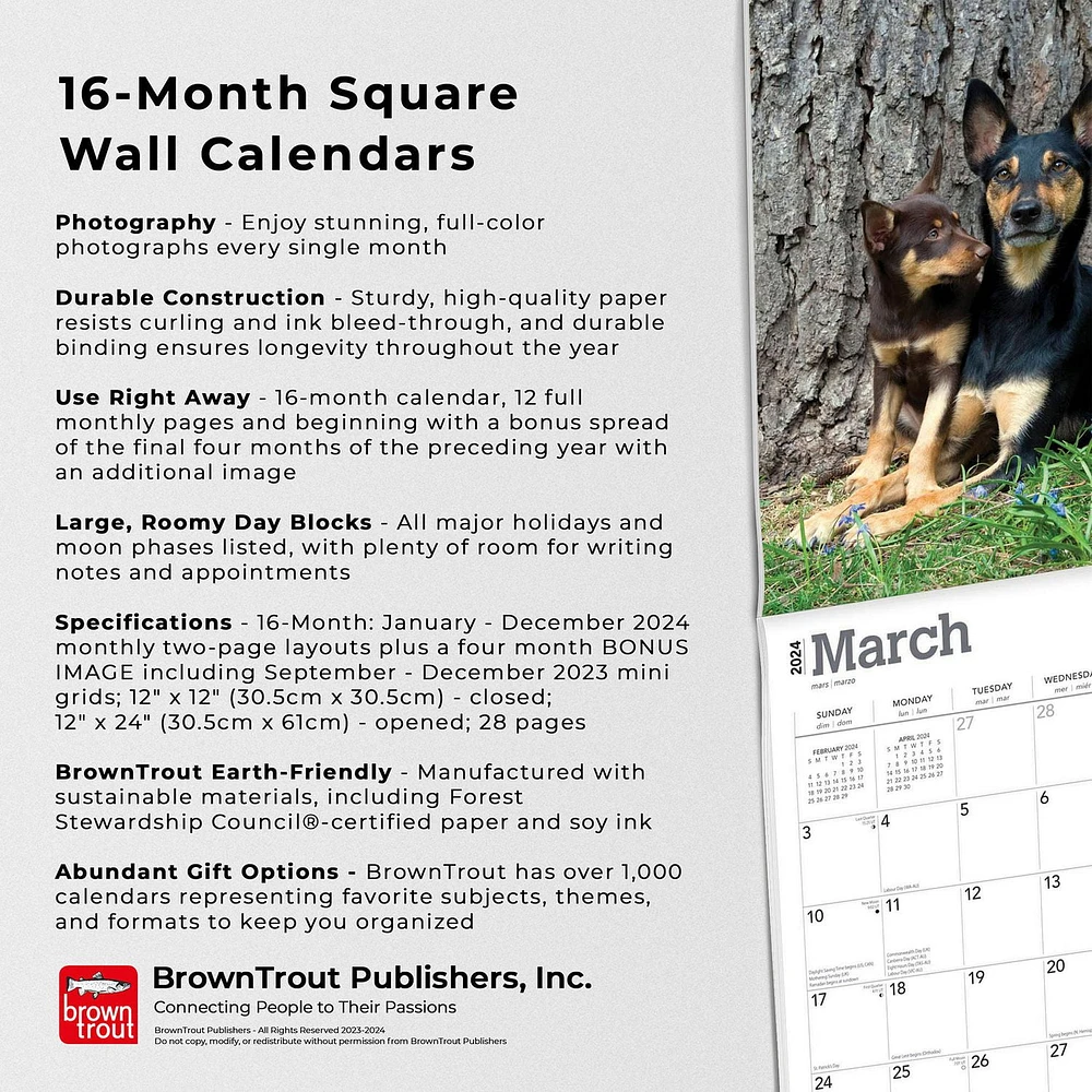 BrownTrout Australian Kelpies 2024 12x24 Inch Square Wall Calendar, 9781975457723