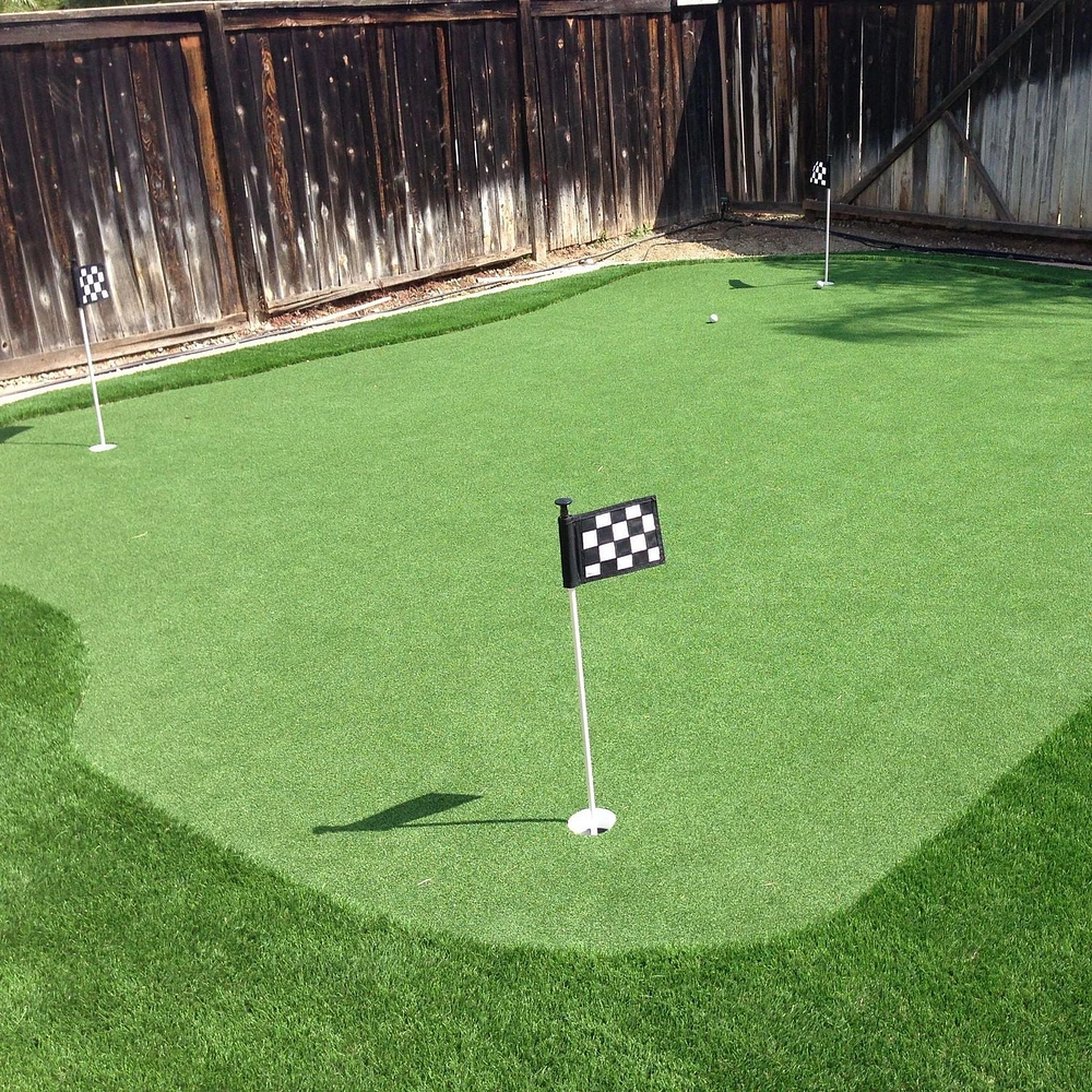 AllGreen Pacific Putting Golf professionnel professionnel de