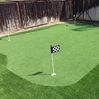 AllGreen Pacific Putting Golf professionnel professionnel de