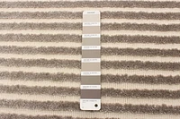Tapis ECARPET Moderne pour Salle à Manger, Salon, Chambre Trona Beige
