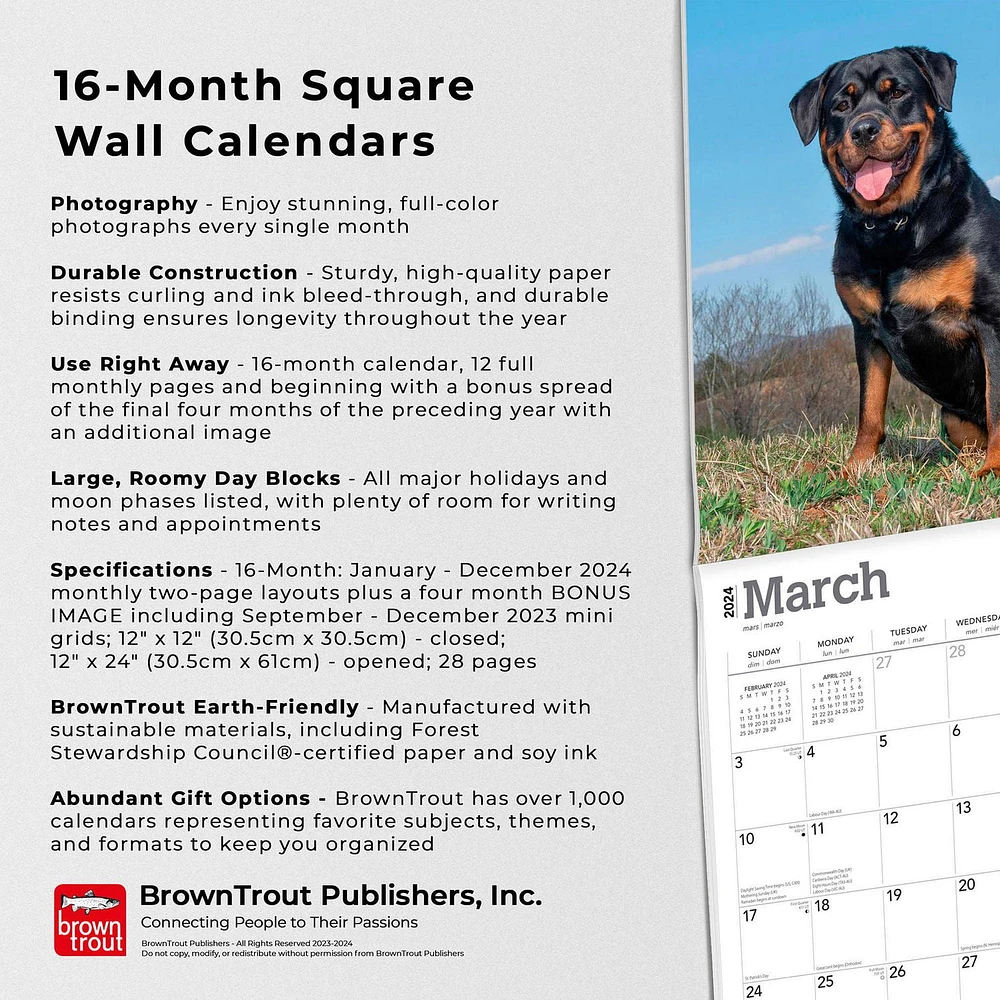 BrownTrout Rottweilers 2024 12x24 Inch Square Wall Calendar, 9781975464837