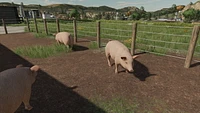 Jeu vidéo Farming Simulator 23 pour (Nintendo Switch) Nintendo Switch