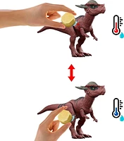 Jurassic World  Révélation Dino  Coffret Combat  2 dinos, aréna