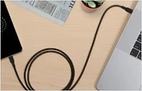 Câble USB-C vers USB-C Belkin, câble d’alimentation tressé BoostCharge (3 m/10 pi), câble de chargement rapide Power Delivery 100 W, certifié USB-IF pour iPhone 16, MacBook, Chrome BELKIN CÂBLE C-C BEL 3M NOIR