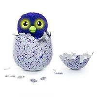 Hatchimals Draggle, Blue/Purple Egg