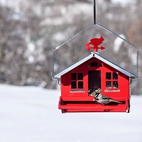 Mangeoire maisonnette Squirrel Be Gone II avec girouette de Perky-Pet