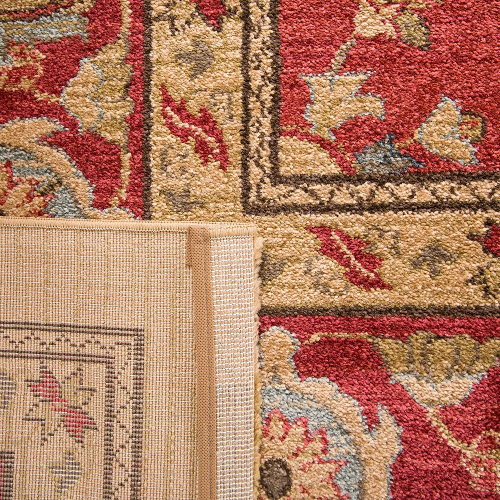 Safavieh Mahal Oswin Floral Bordered Area Rug