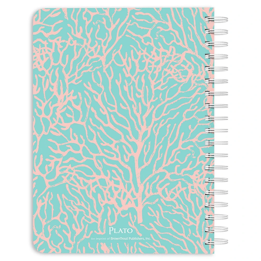 Plato Seaside Currents 2024 6x7.75 Inch 18 Months Desk Planner, July 2023 - December 2024, 9781975470579