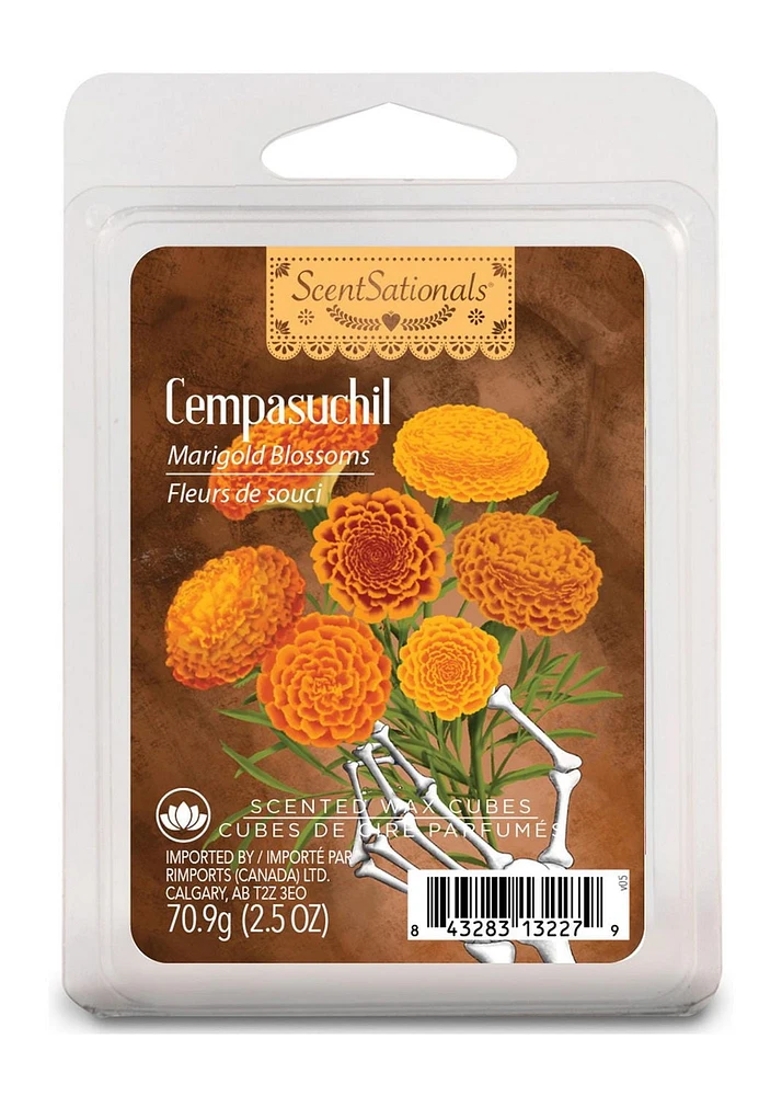 ScentSationals, Cubes de cire parfumés, Cempasuchil