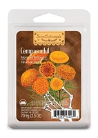 ScentSationals, Cubes de cire parfumés, Cempasuchil