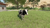 Jeu vidéo Farming Simulator 23 pour (Nintendo Switch) Nintendo Switch