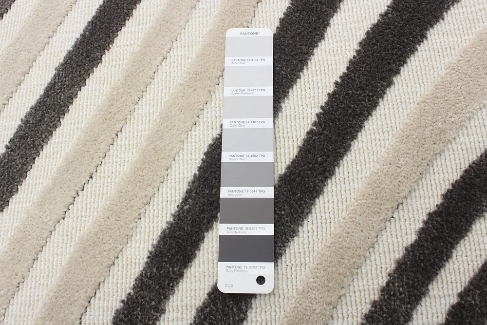 Tapis ECARPET Moderne pour Salle à Manger, Salon