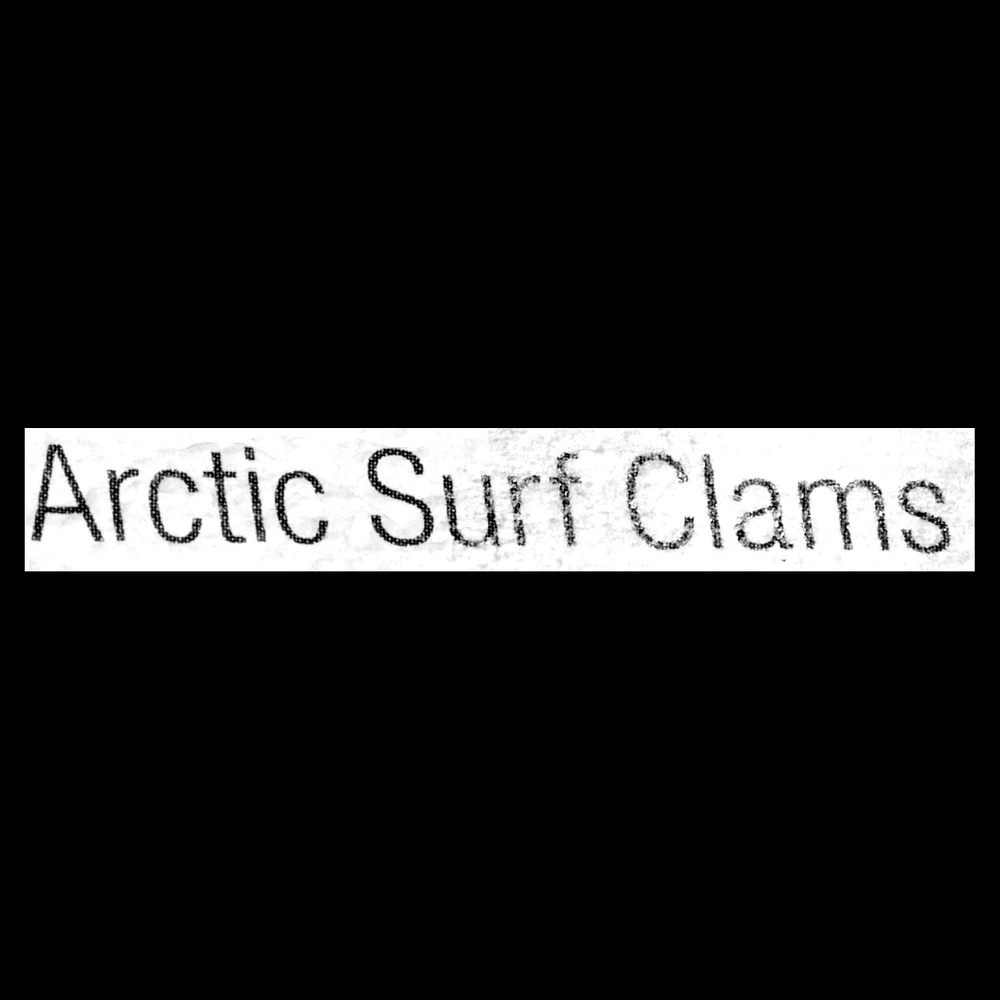 Arctic Surf Clams