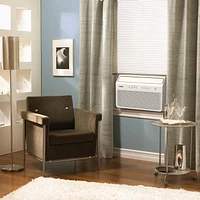 Danby 10000 BTU Inverter Window AC