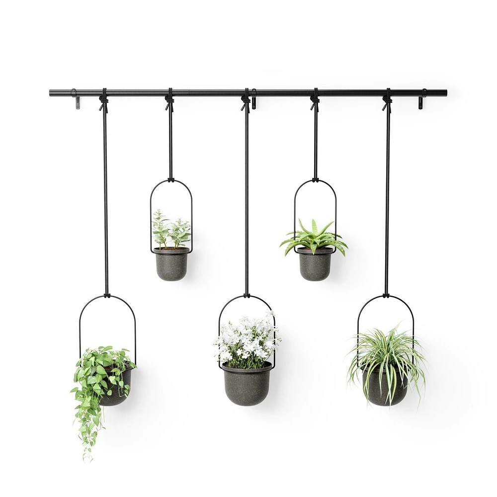 Umbra - Jardinière suspendue Triflora, lot de 5