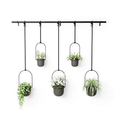 Umbra - Jardinière suspendue Triflora, lot de 5