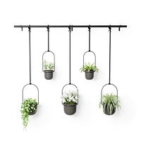 Umbra - Jardinière suspendue Triflora, lot de 5