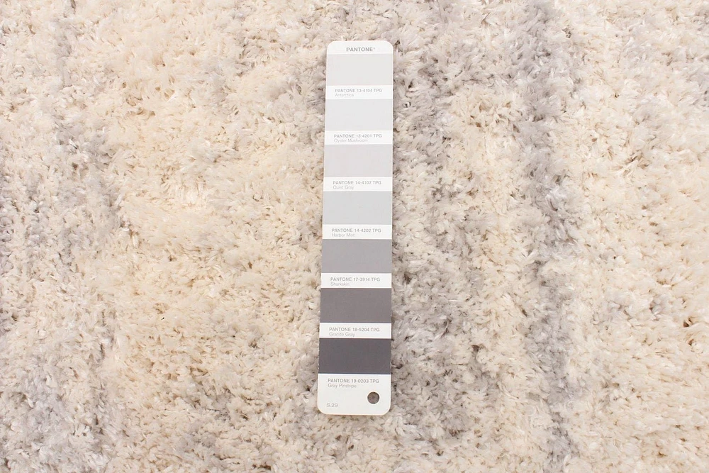 ECARPET Tapis Frise Contemporain pour Salon, Chambre à Coucher