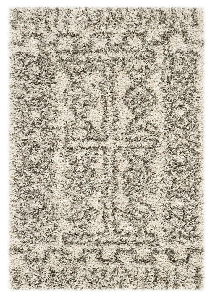 SAFAVIEH Hudson Raphael Contemporary Shag Area Rug